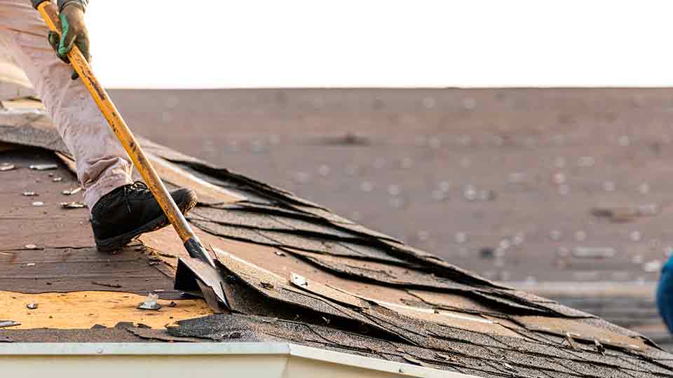 roof-replacement-warning-signs