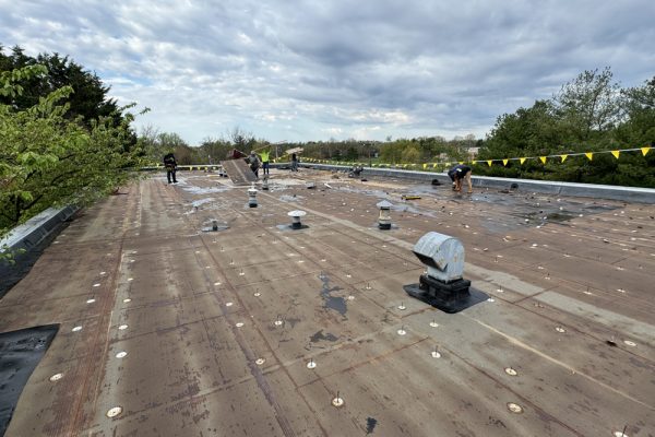 zamy roofing