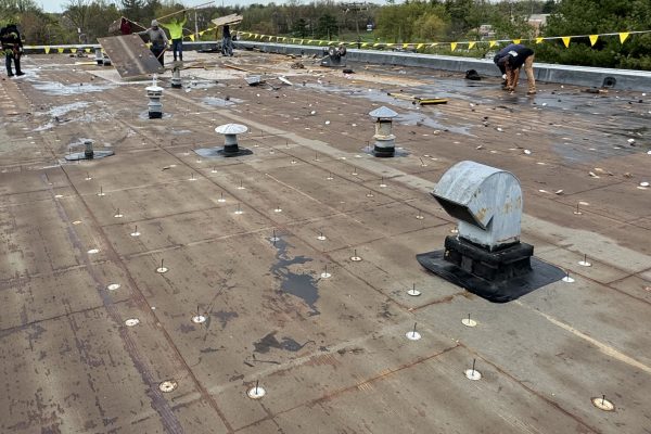 zamy roofing