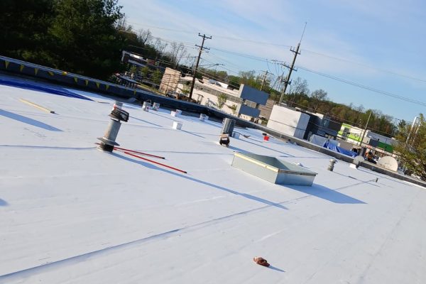 zamy roofing