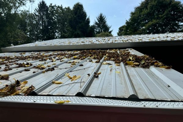 zamy roofing