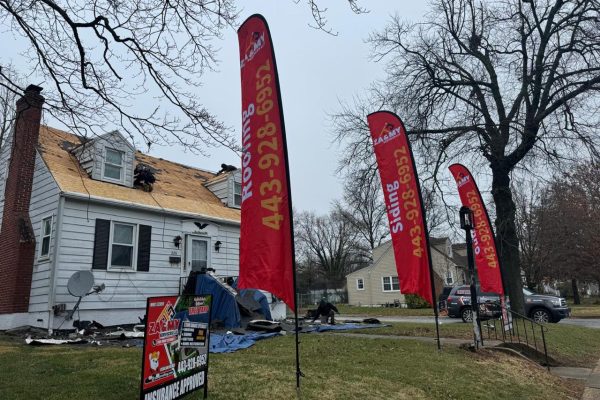 zamy roofing